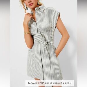 Linen Stripe Mini Callie Dress